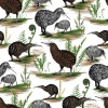 81830 Native Treasures Col. 4 Kiwi